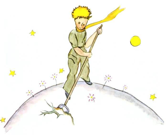 [figure-016-p014.jpg]
